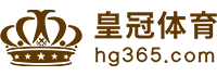 Logo 美狮贵宾会